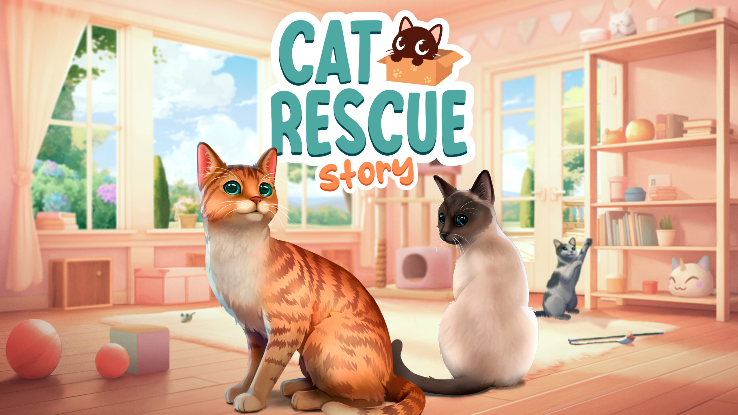 Cat Rescue Story