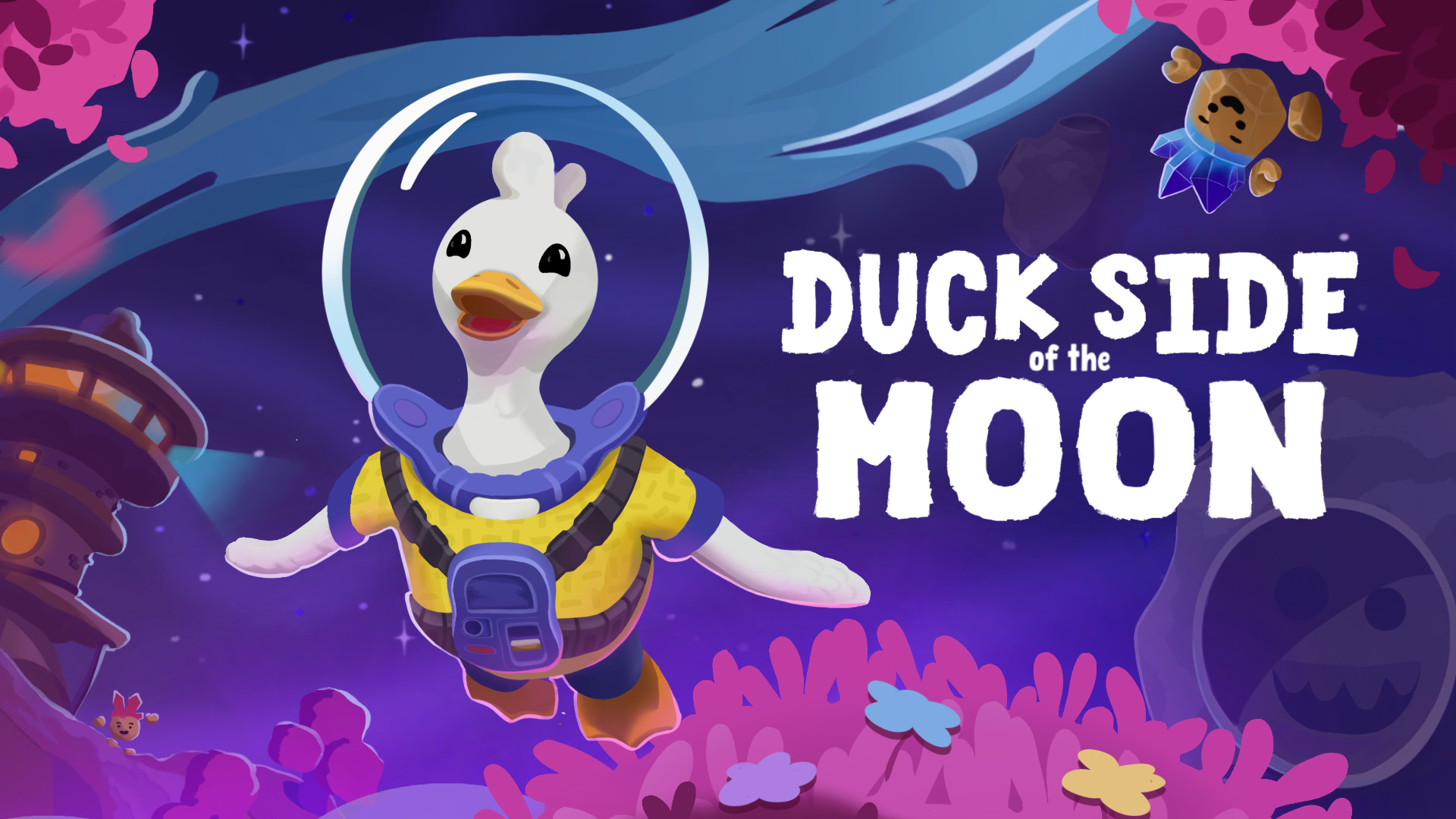 Duck Side of the Moon