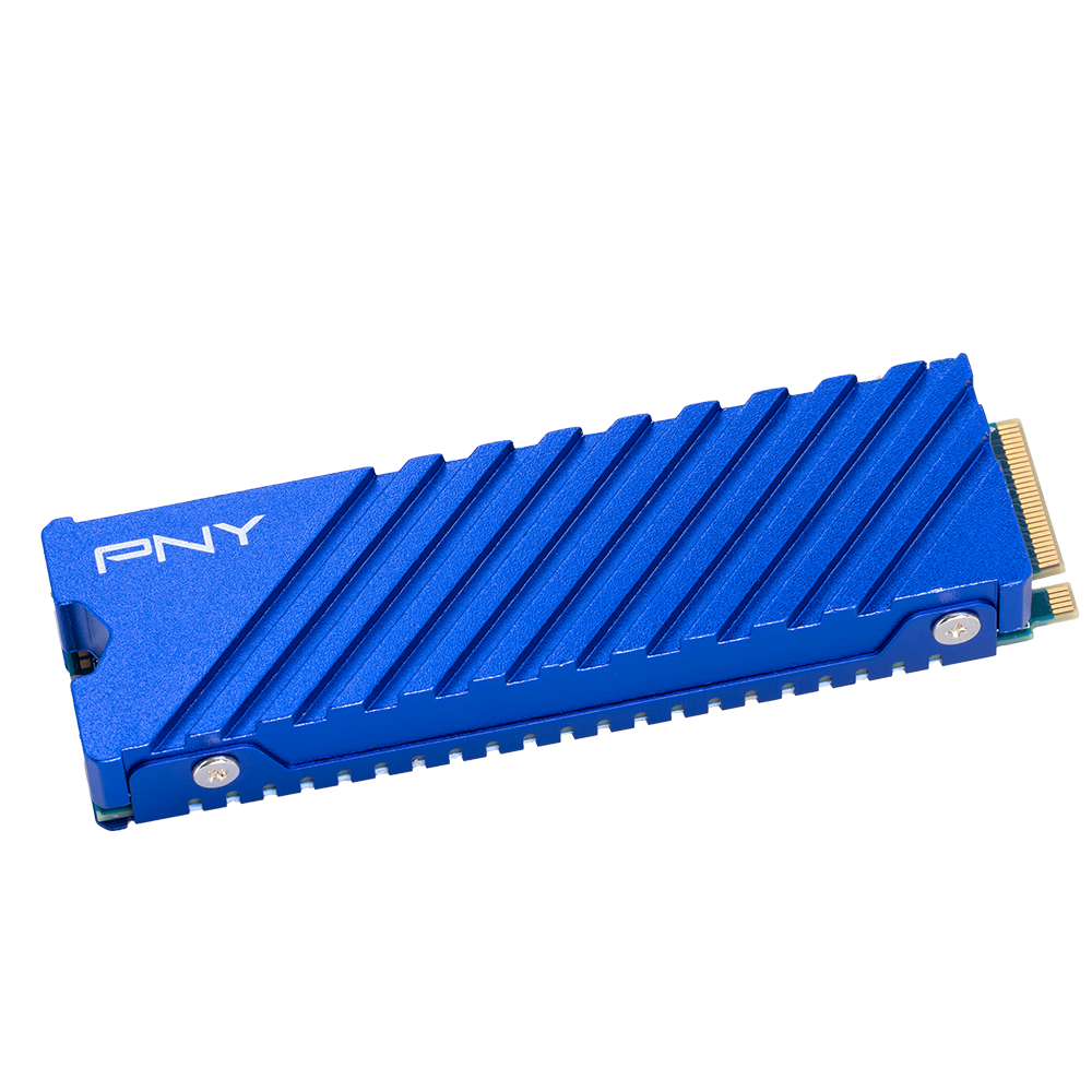 PNY CS2341